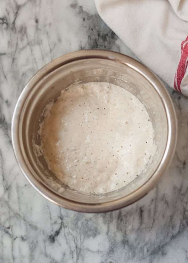 تصویر 5 از قیمت خرید خمیر مایه تر صفا مایه + فروش ویژه